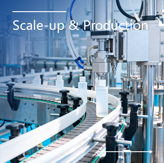 Scale-up & Production
